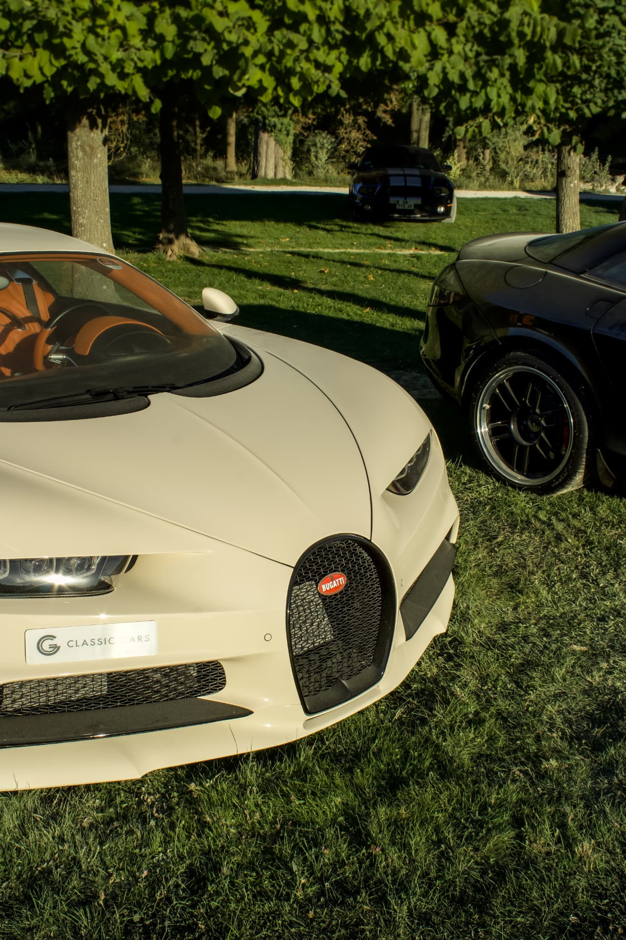 Concours Chantilly Arts & Élégance Richard Mille — photo 11
