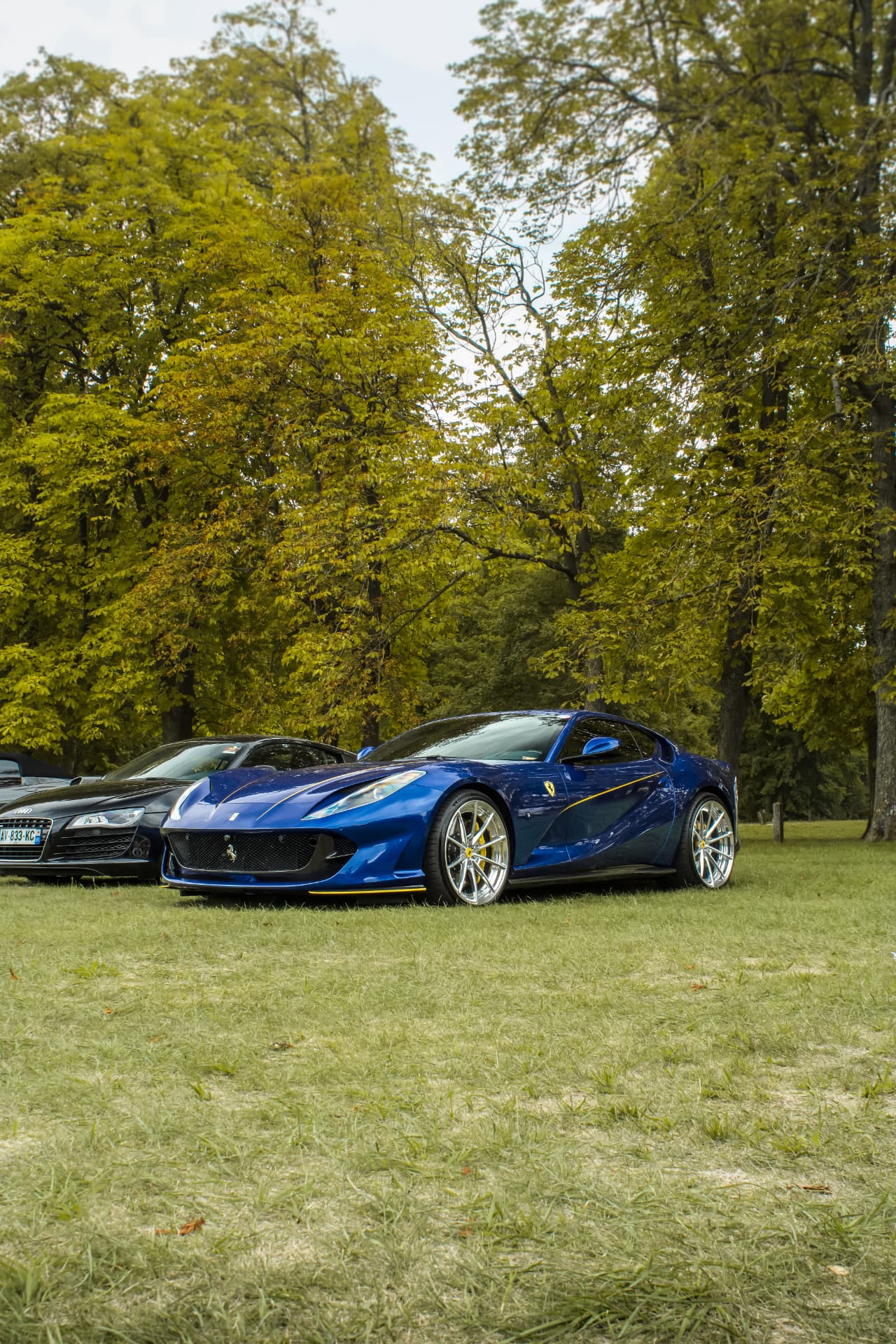 Concours Chantilly Arts & Élégance Richard Mille — photo 61