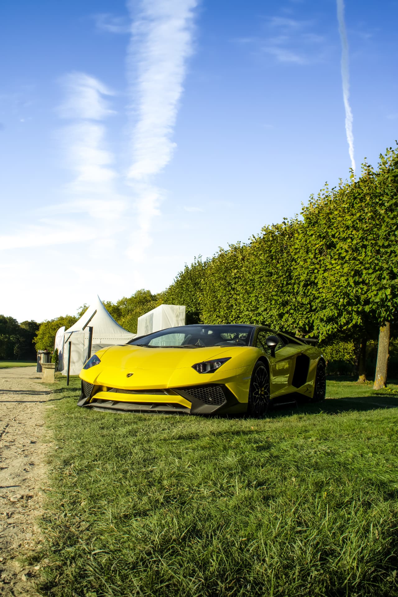 Concours Chantilly Arts & Élégance Richard Mille — photo 8