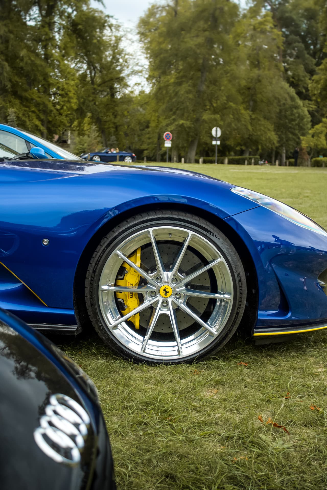 Concours Chantilly Arts & Élégance Richard Mille — photo 55