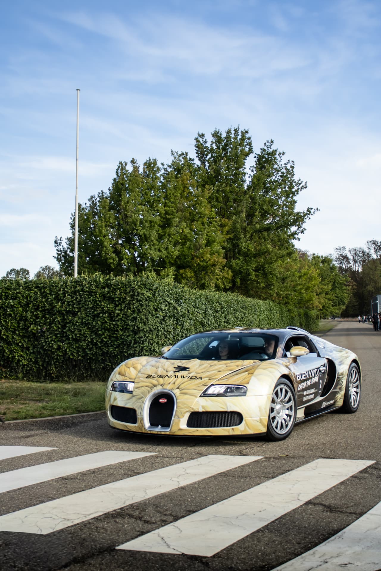 Bugatti Festival à Molsheim — photo 8