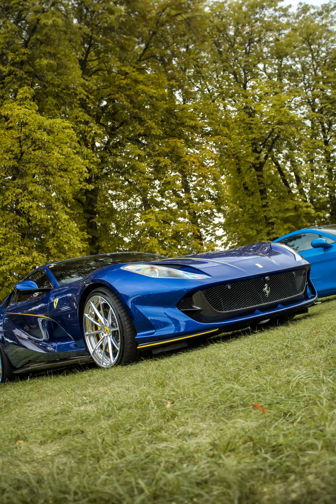 Concours Chantilly Arts & Élégance Richard Mille — photo 53